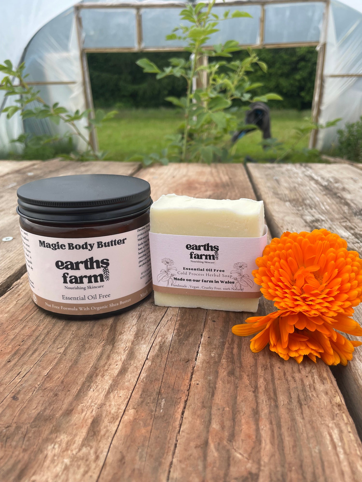 magic body butter earths farm skincare