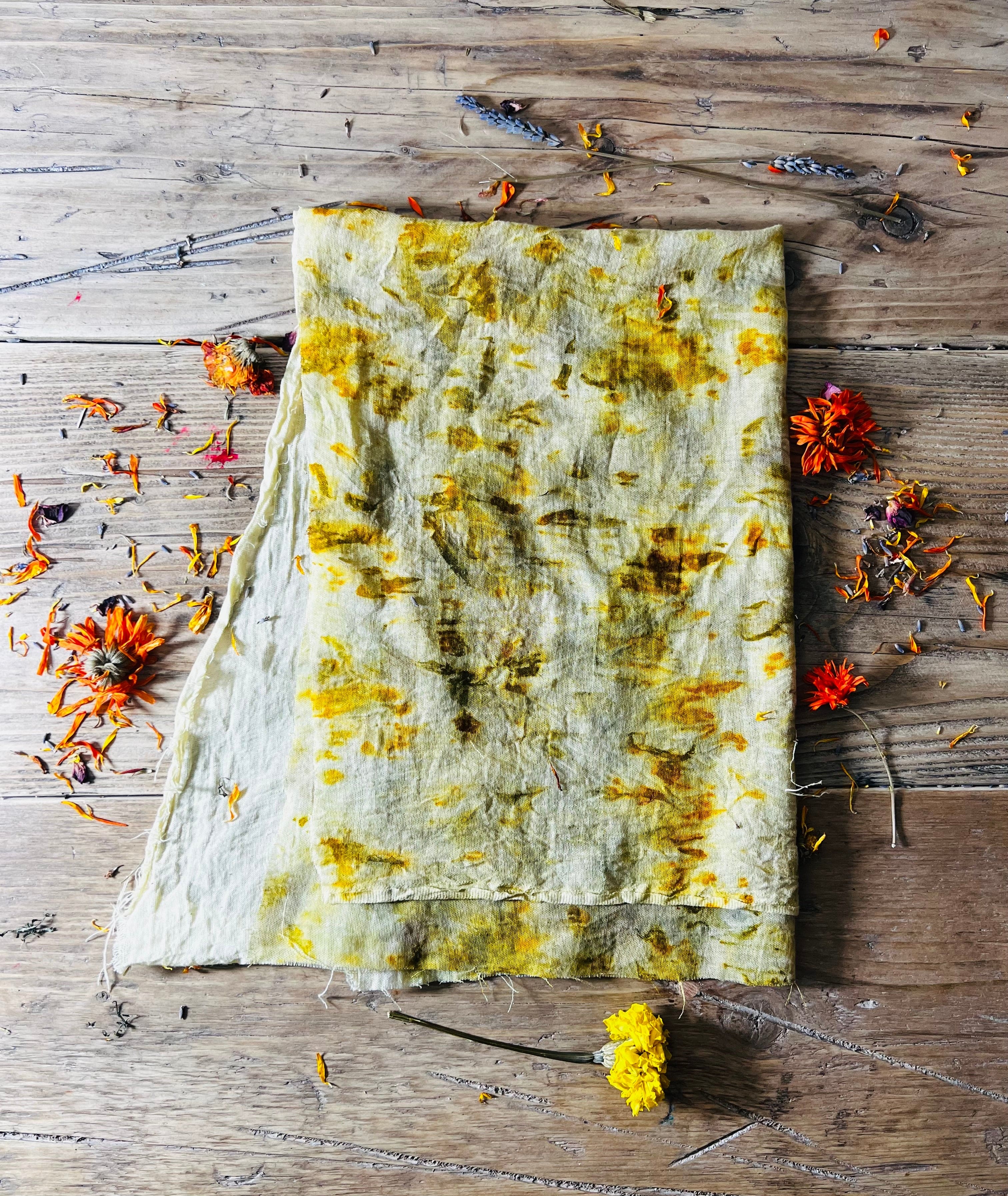 Nature’s Complete Gift Set for Soft, Glowing Skin