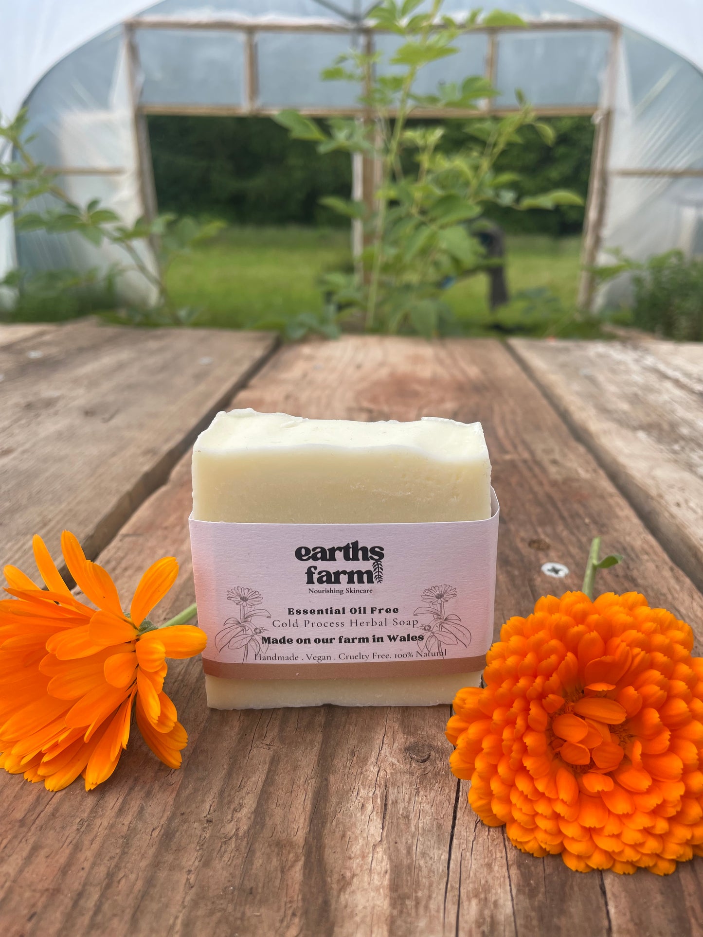 Soap Bar- Essential Oil Free