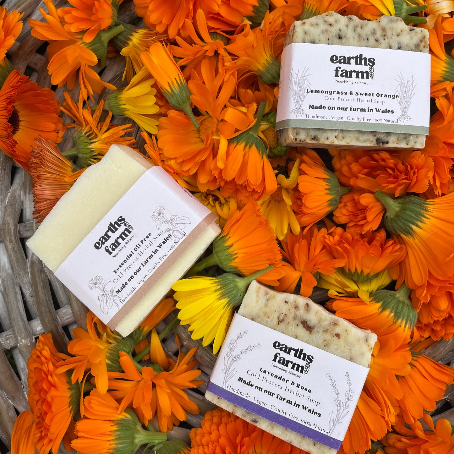Soap Bar Set